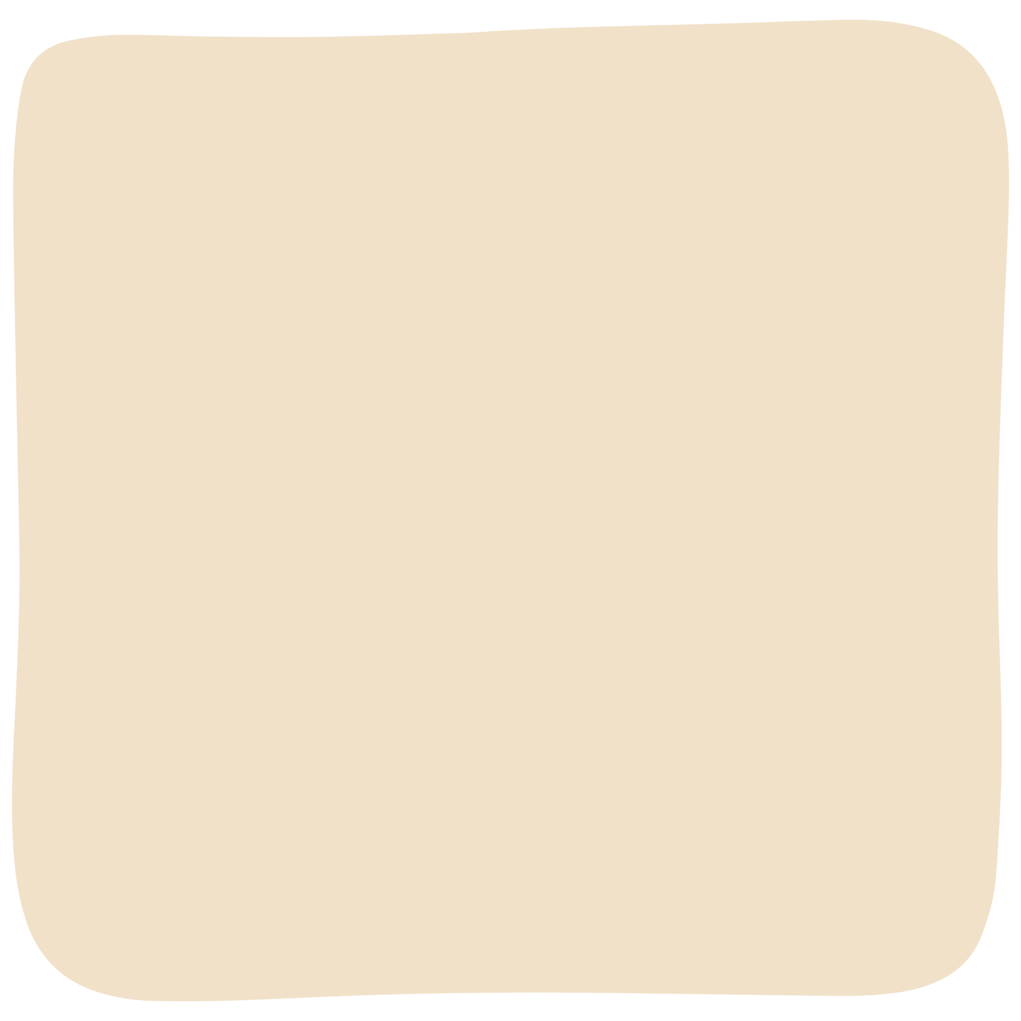 Fresca Tortillas Wraps Chips