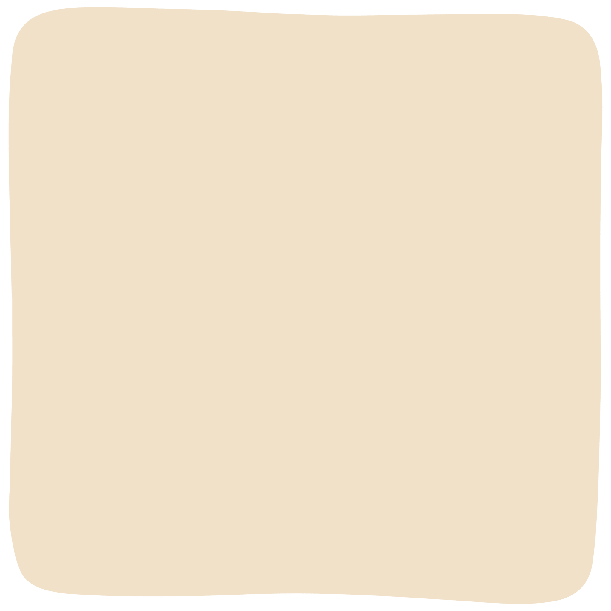 Fresca Tortillas Wraps Chips